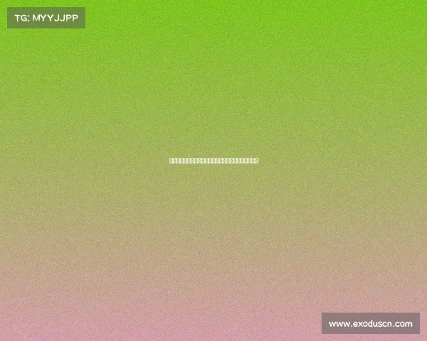 沉浸式体验网球比赛精彩瞬间，感受赛场氛围与竞技激情