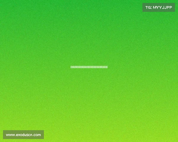 沉浸式体验网球比赛精彩瞬间,感受赛场氛围与竞技激情