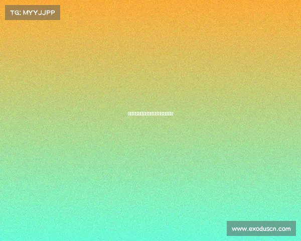 网球比赛用球的设计演变与技术要求解析