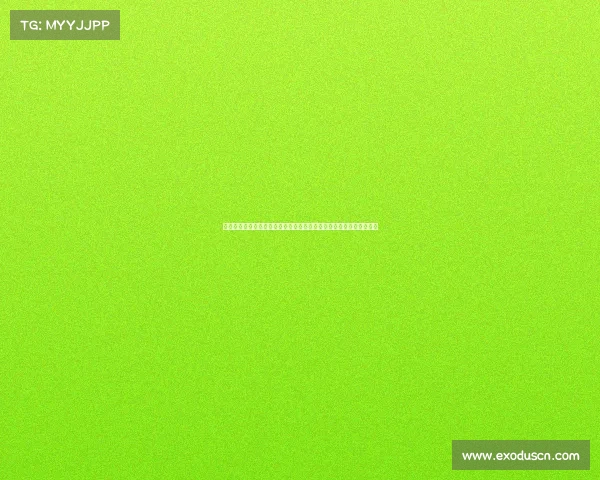 西甲精彩赛事全程直播平台，实时观看与互动，带你领略顶级足球盛宴